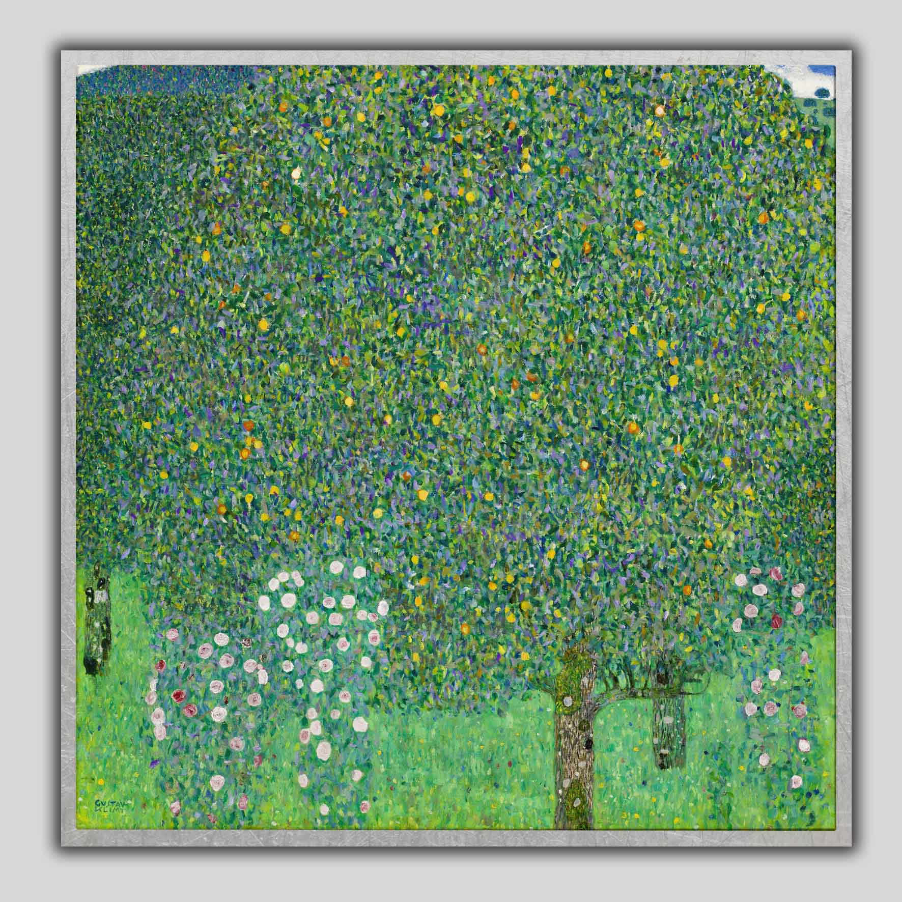 Rose sotto gli alberi