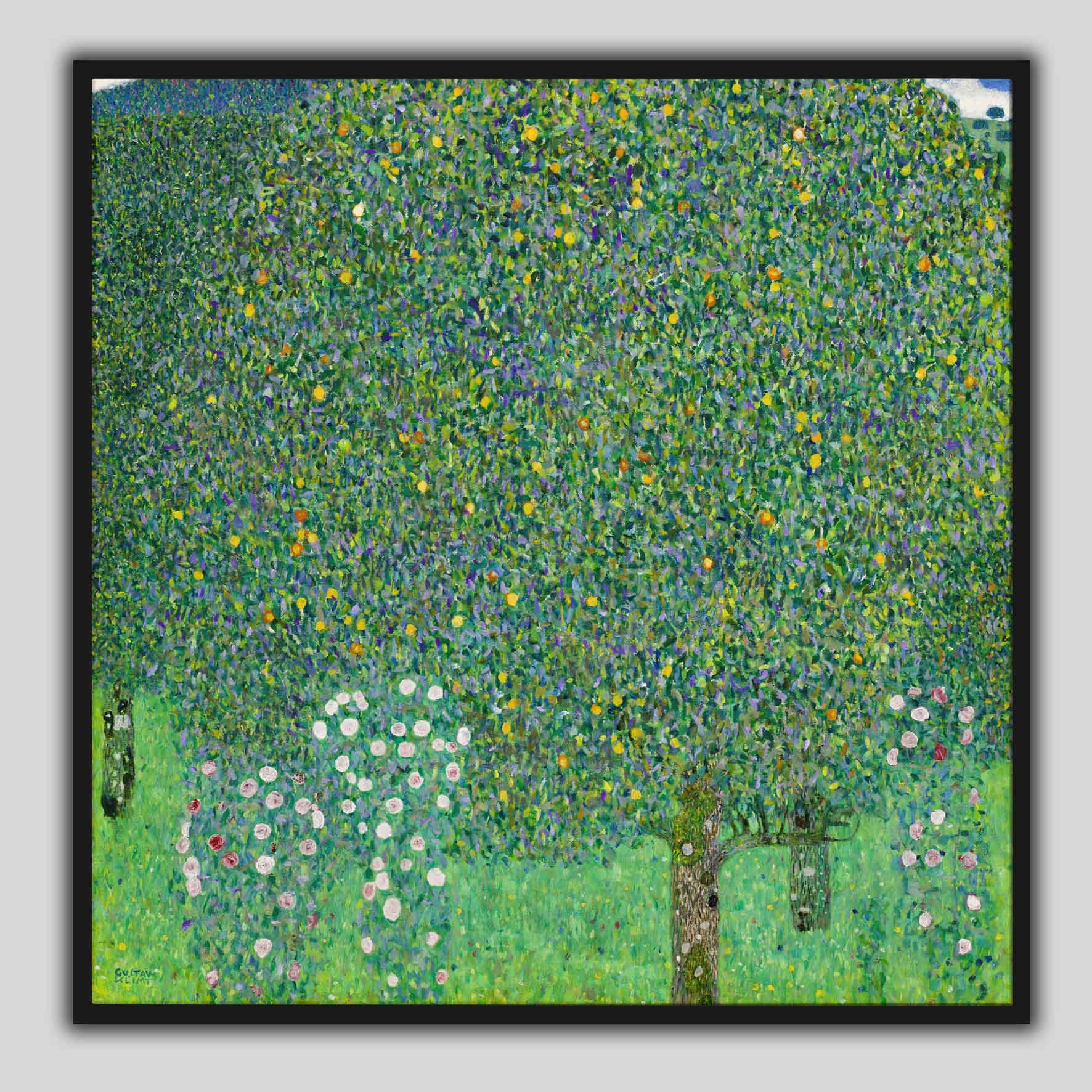 Rose sotto gli alberi