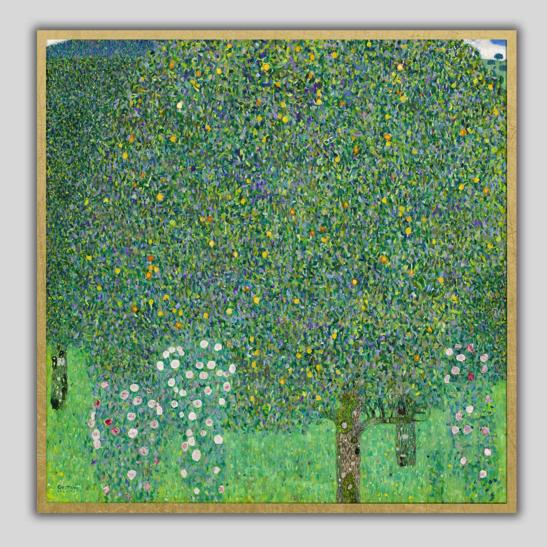 Rose sotto gli alberi