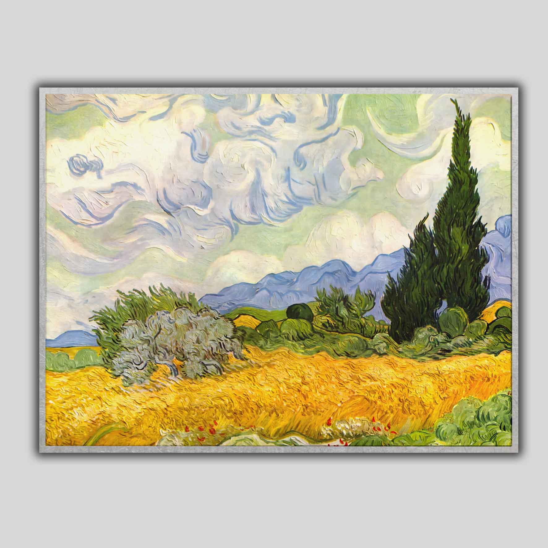 Campo di grano con cipressi