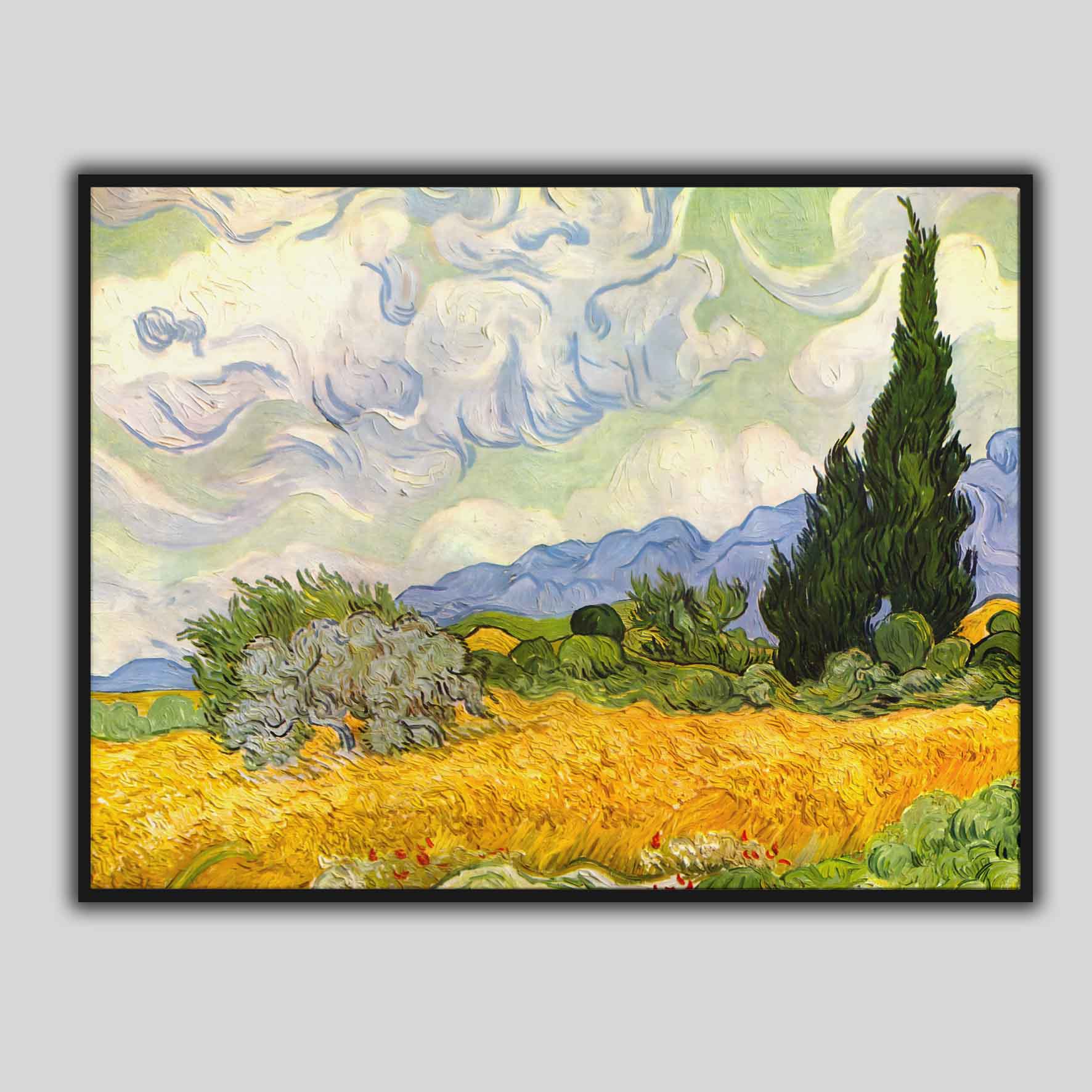 Campo di grano con cipressi