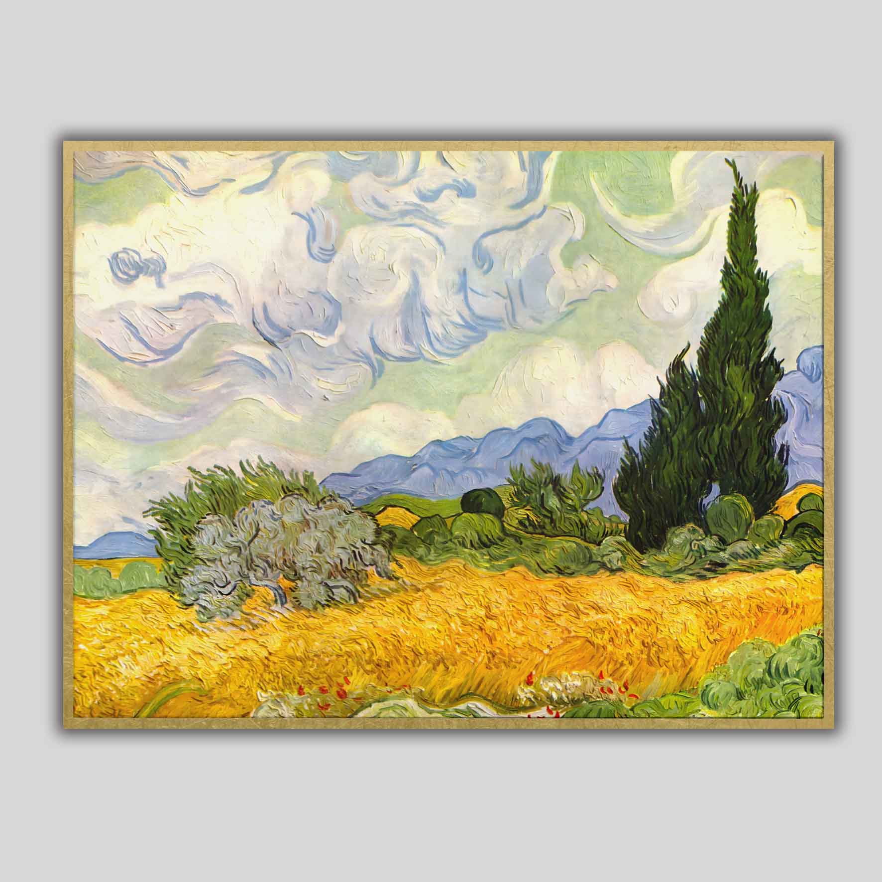 Campo di grano con cipressi