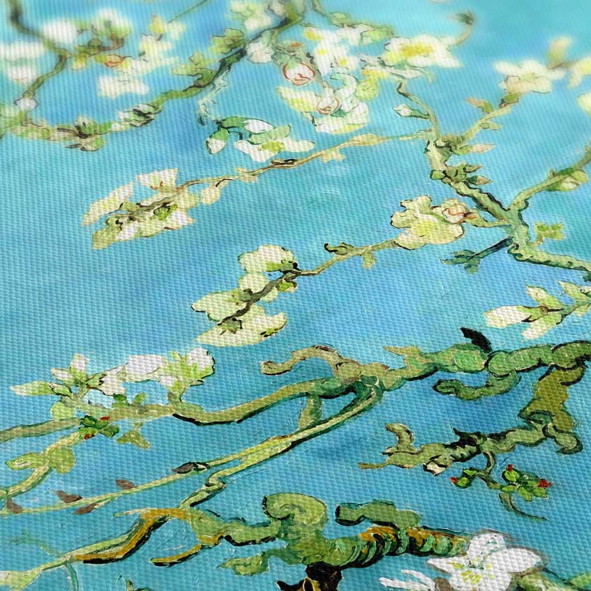 Flowering almond branch