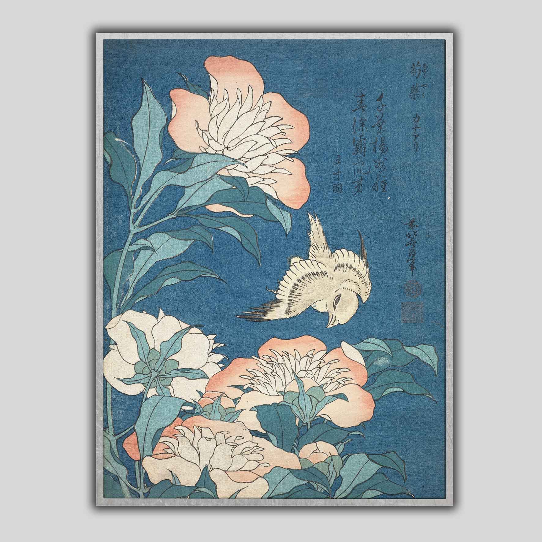 Peonie e piccoli fiori delle Canarie