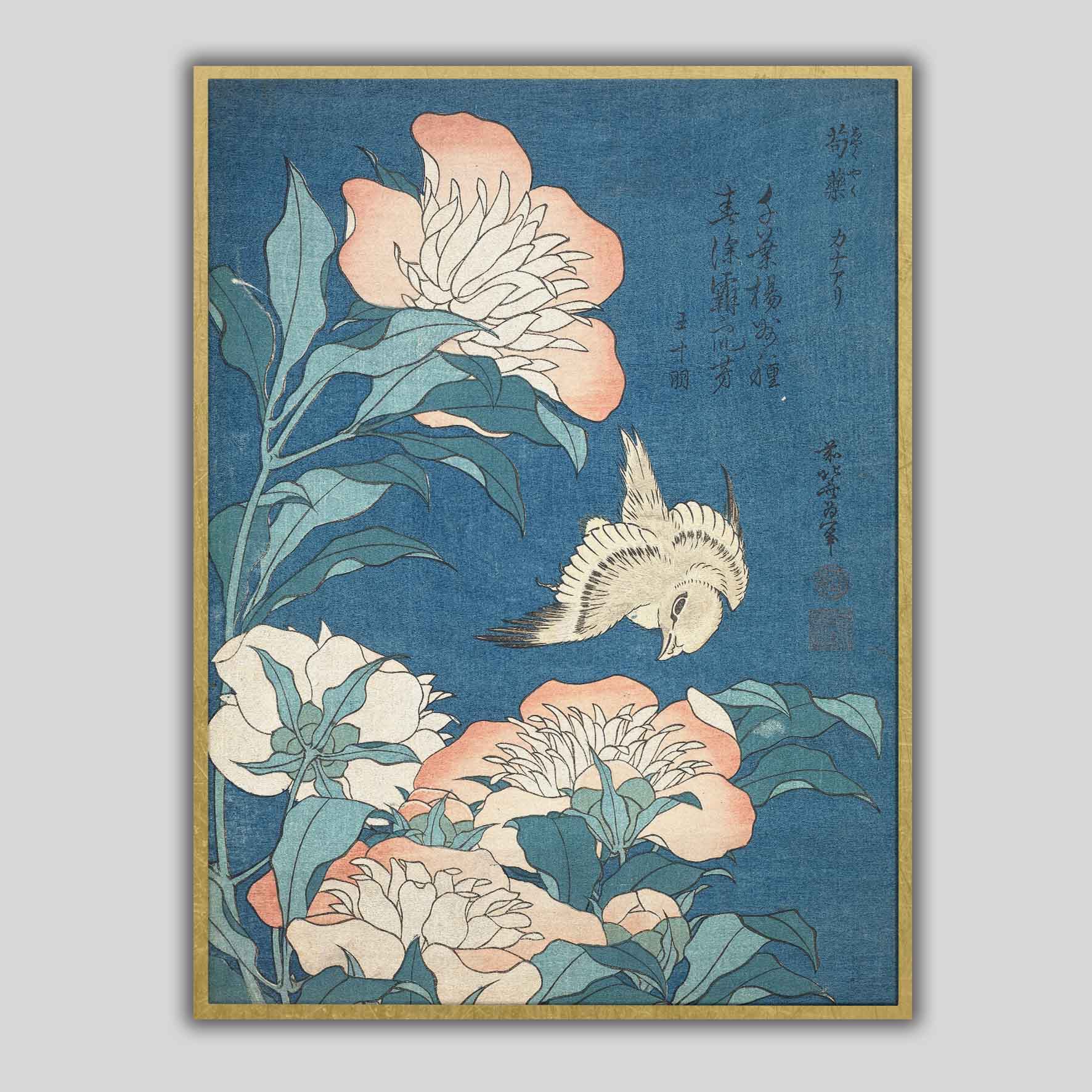 Peonie e piccoli fiori delle Canarie