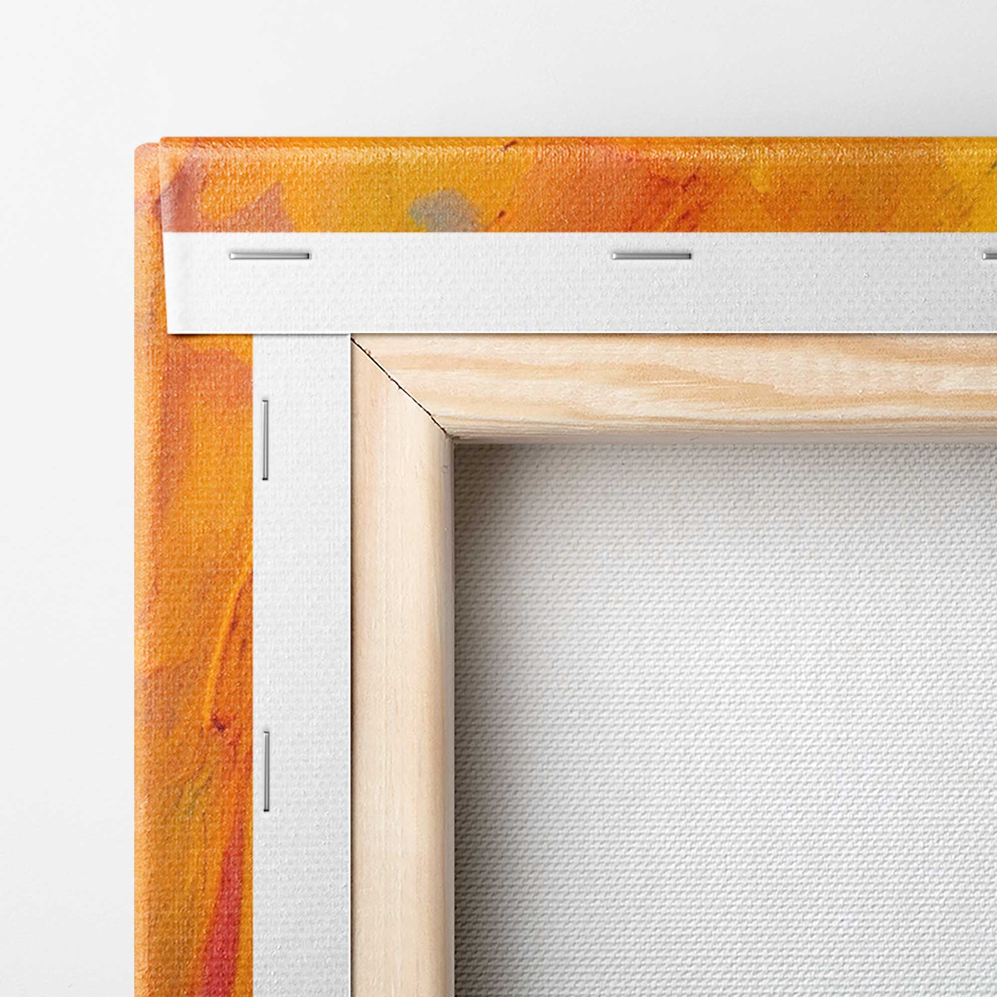 Fioritura nel deserto