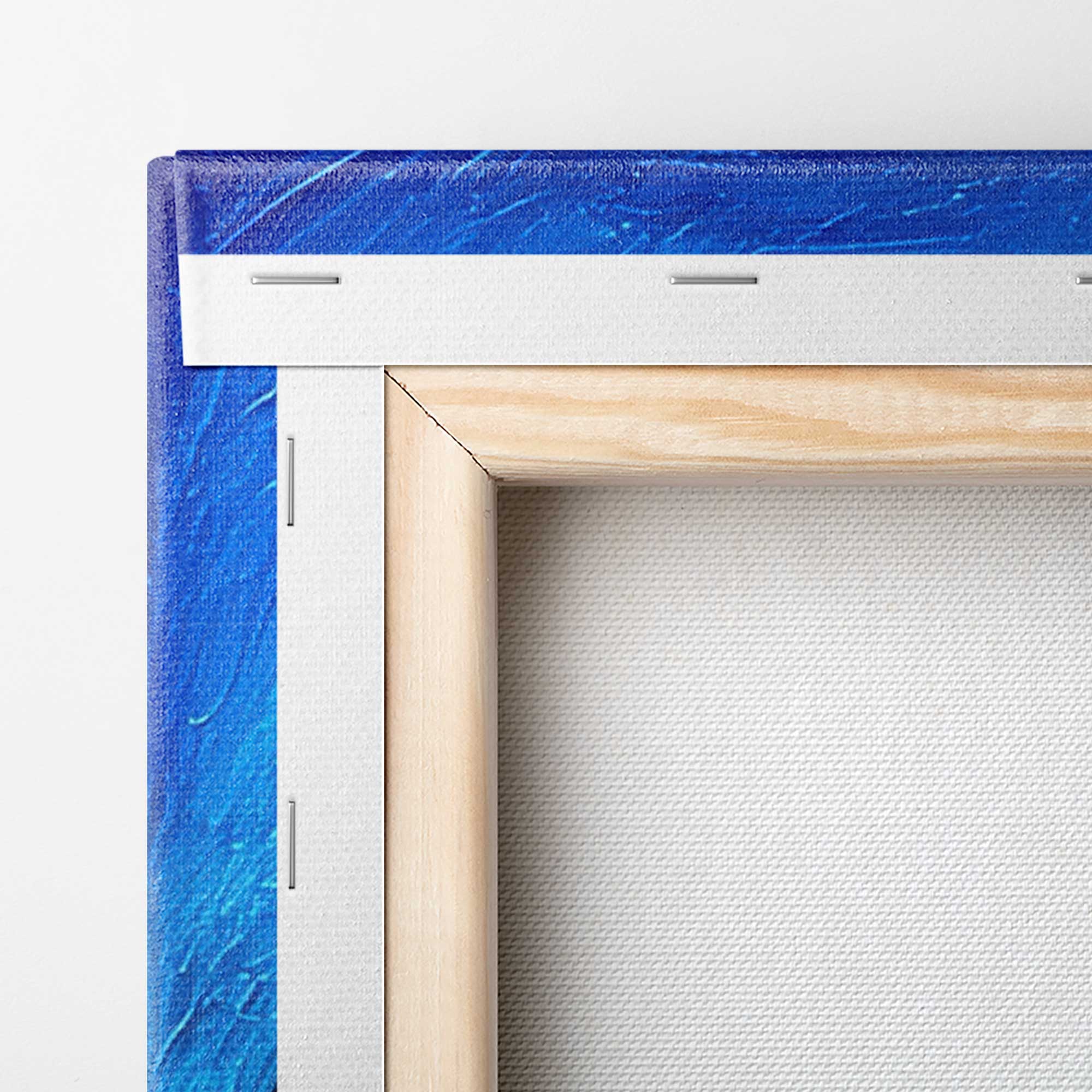 Fichi d’India Colorati