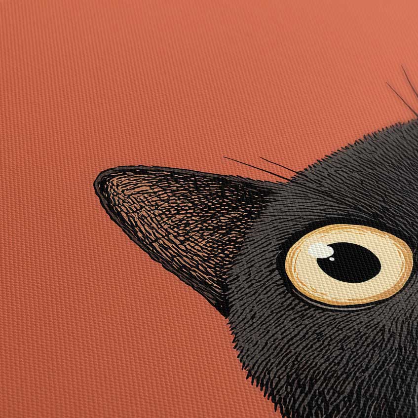 Interdetto nel Colore