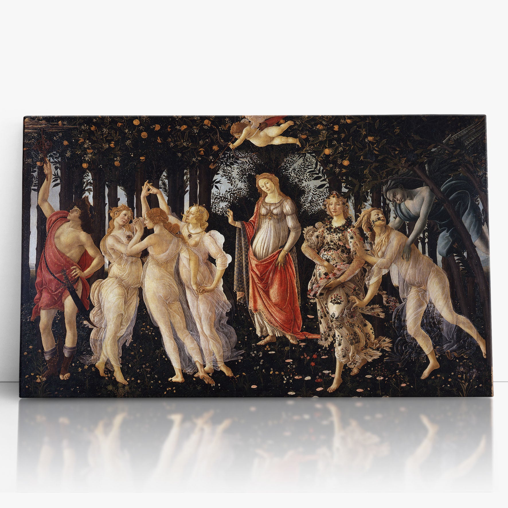 La Primavera di Botticelli