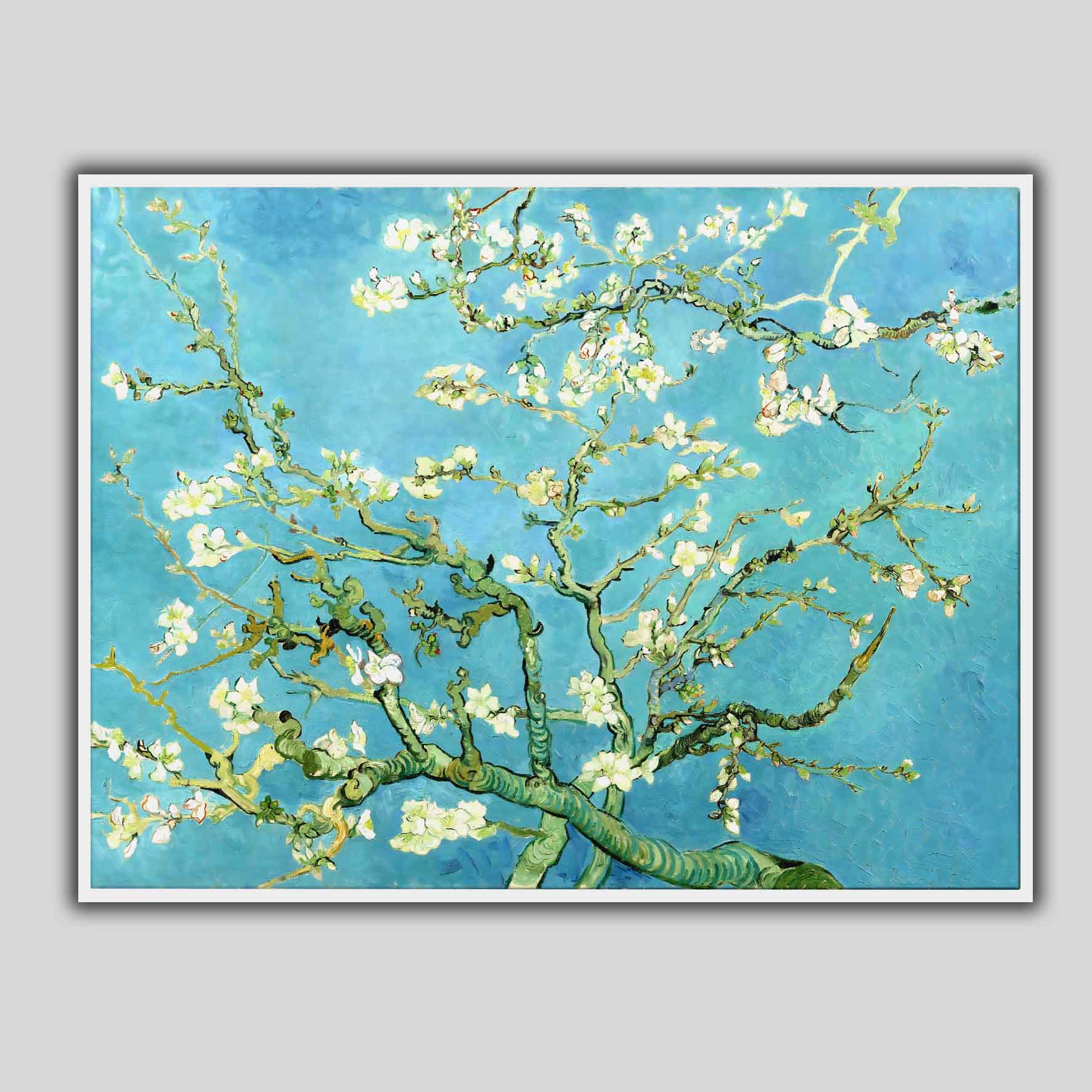 Flowering almond branch