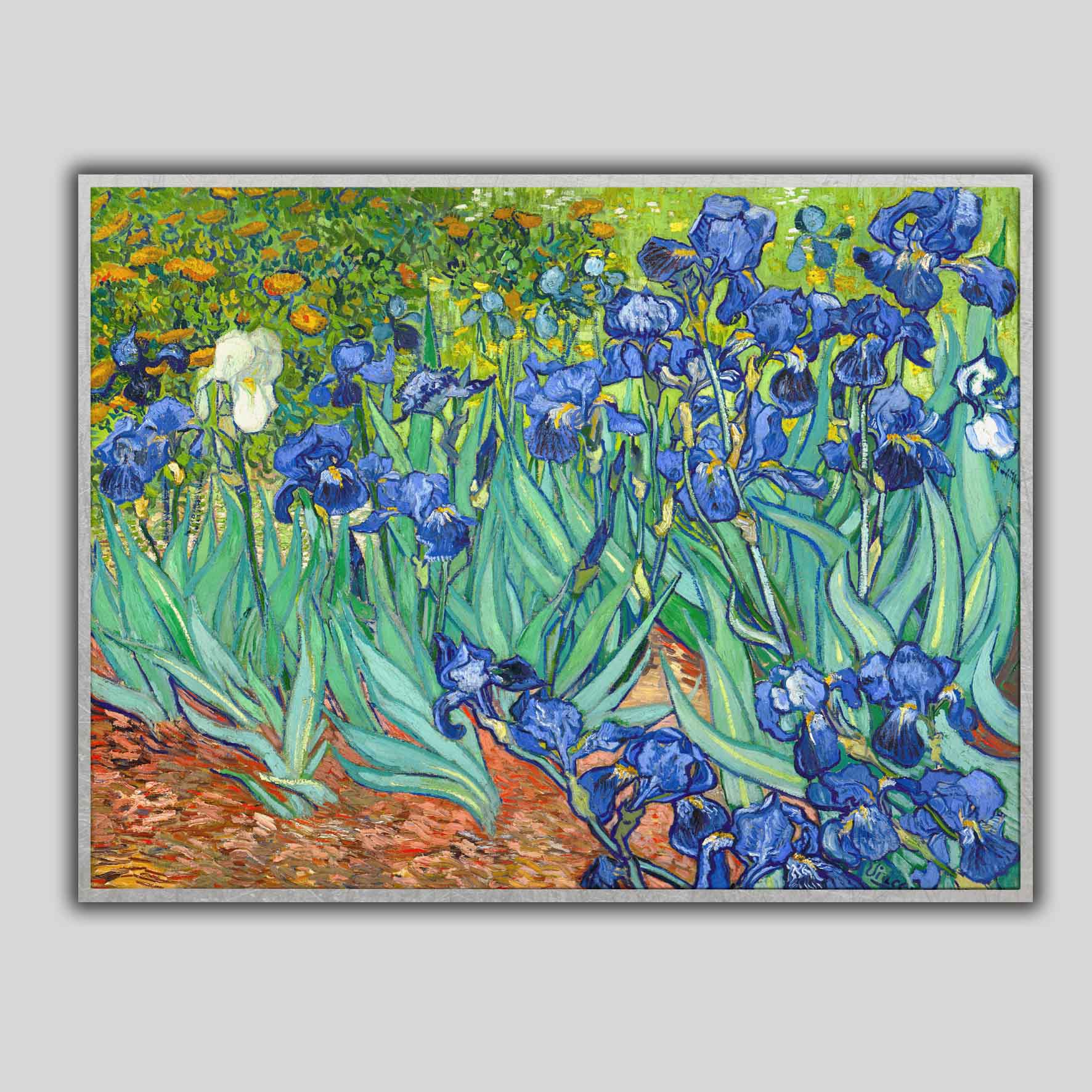 Iris, Van Gogh