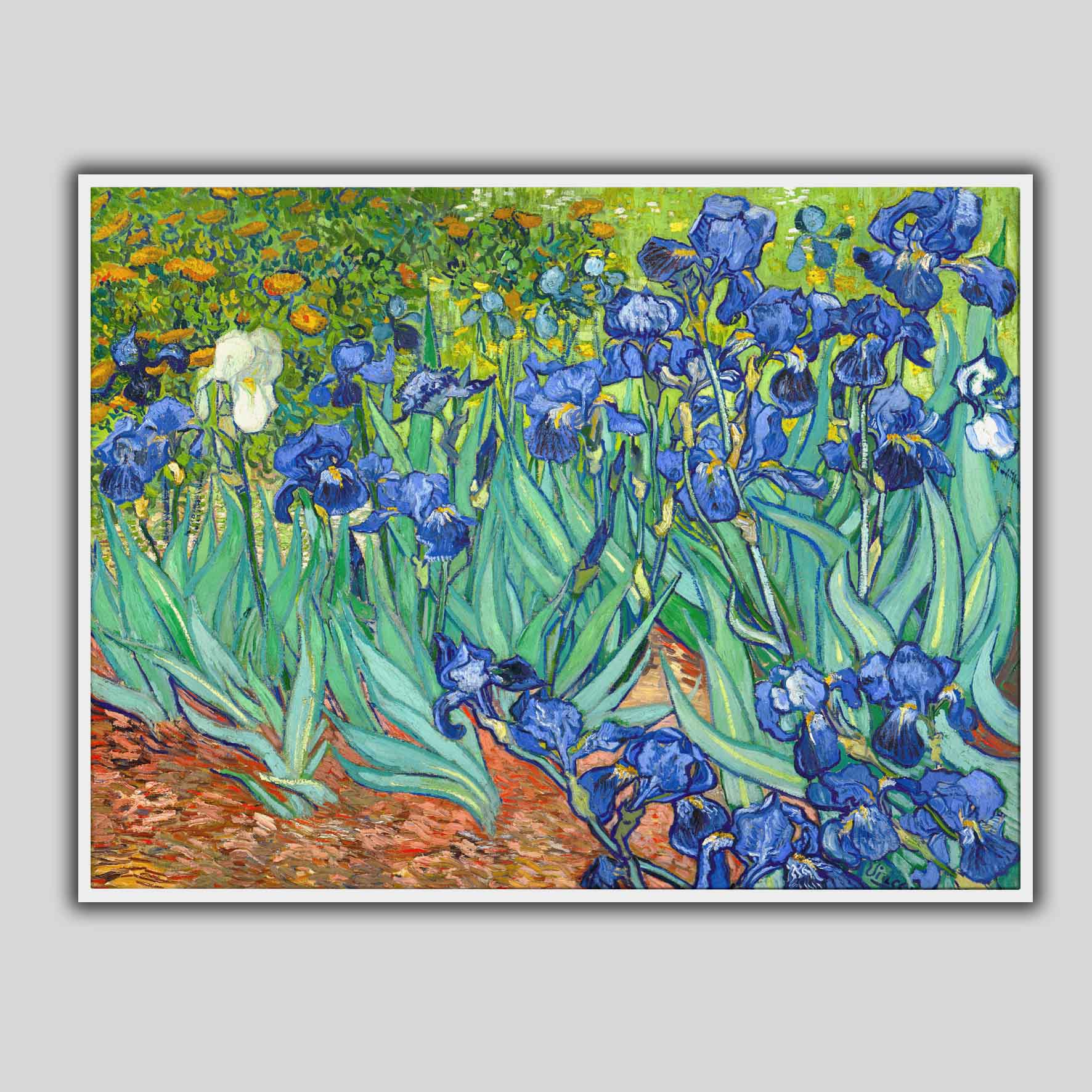 Iris, Van Gogh