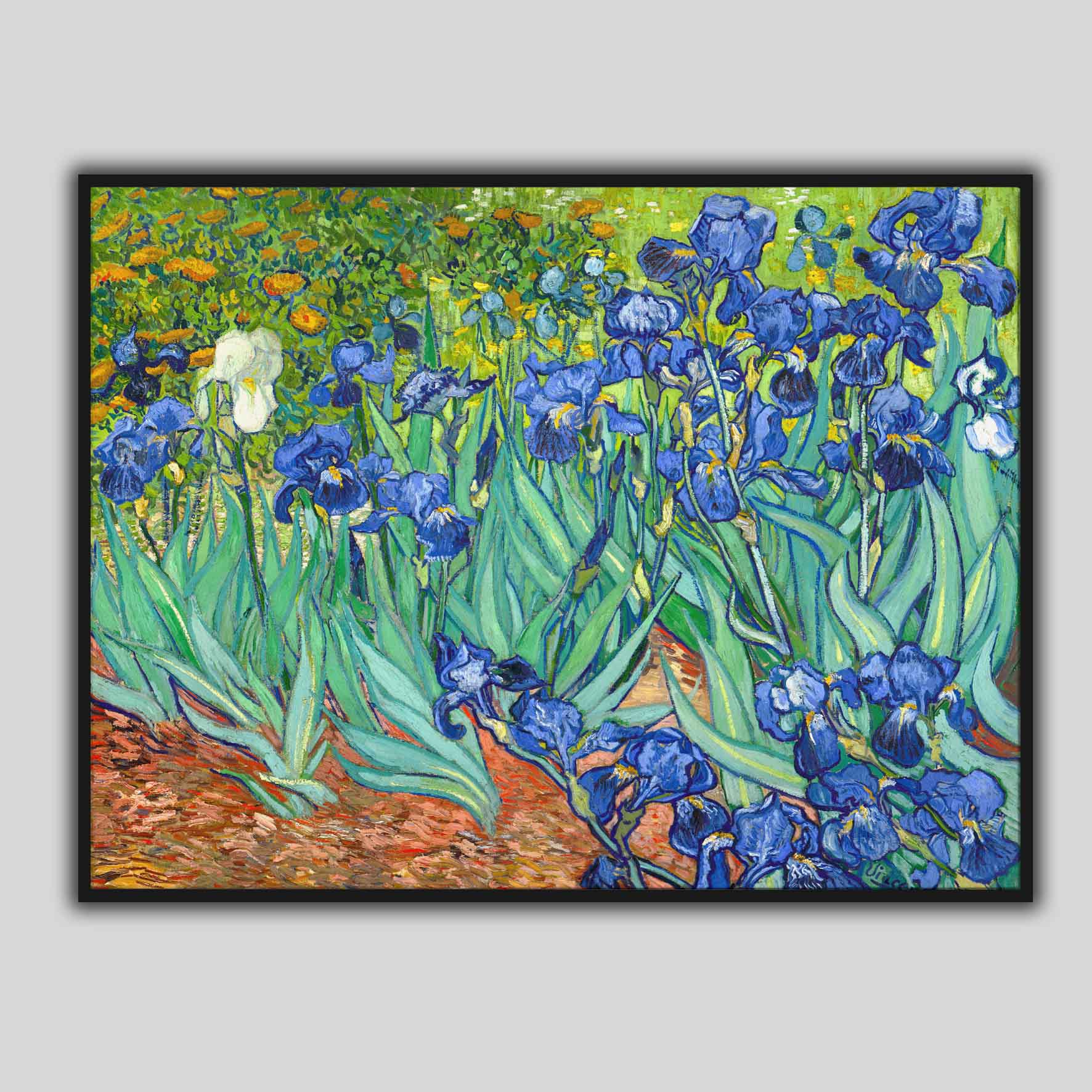 Iris, Van Gogh