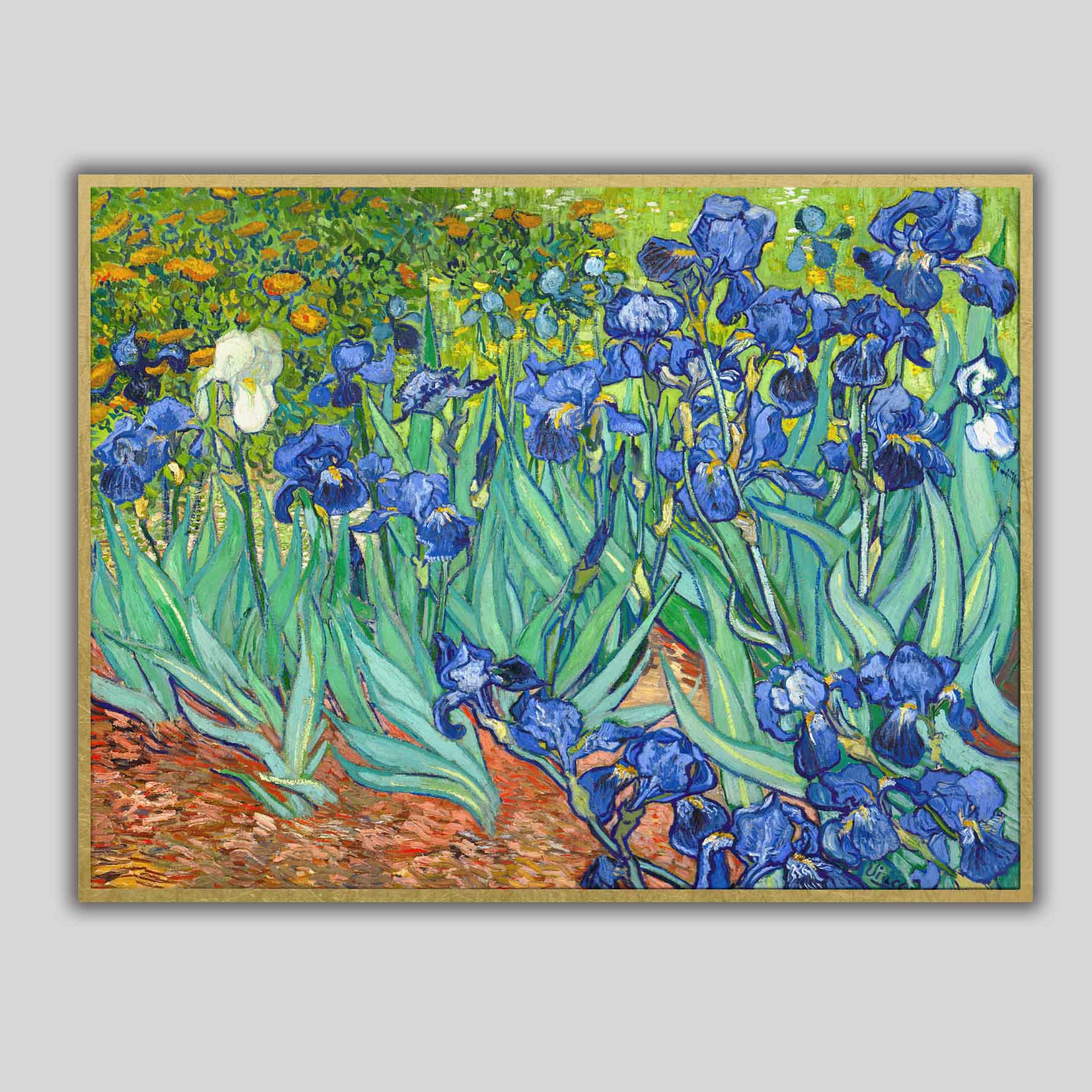 Iris, Van Gogh