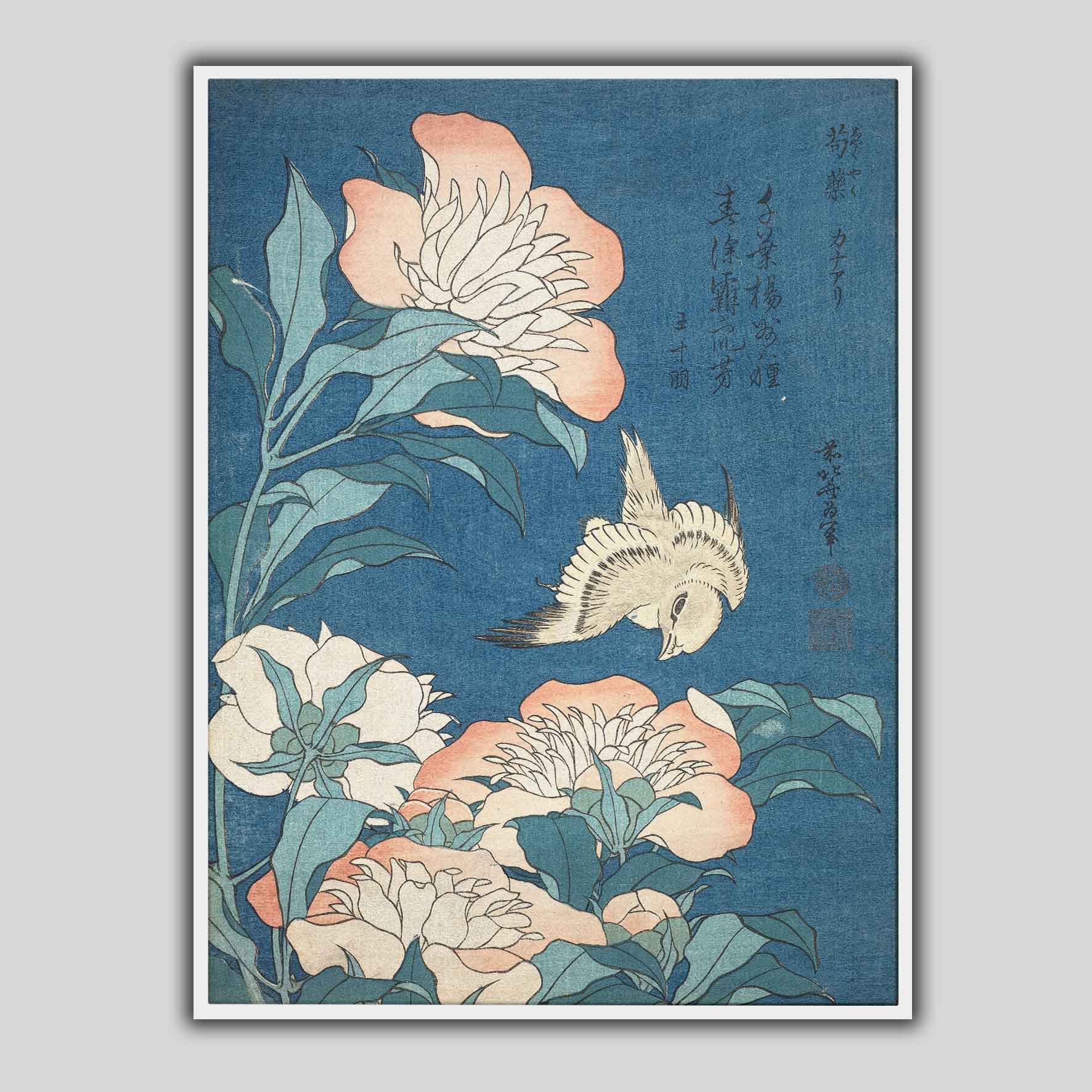 Peonie e piccoli fiori delle Canarie