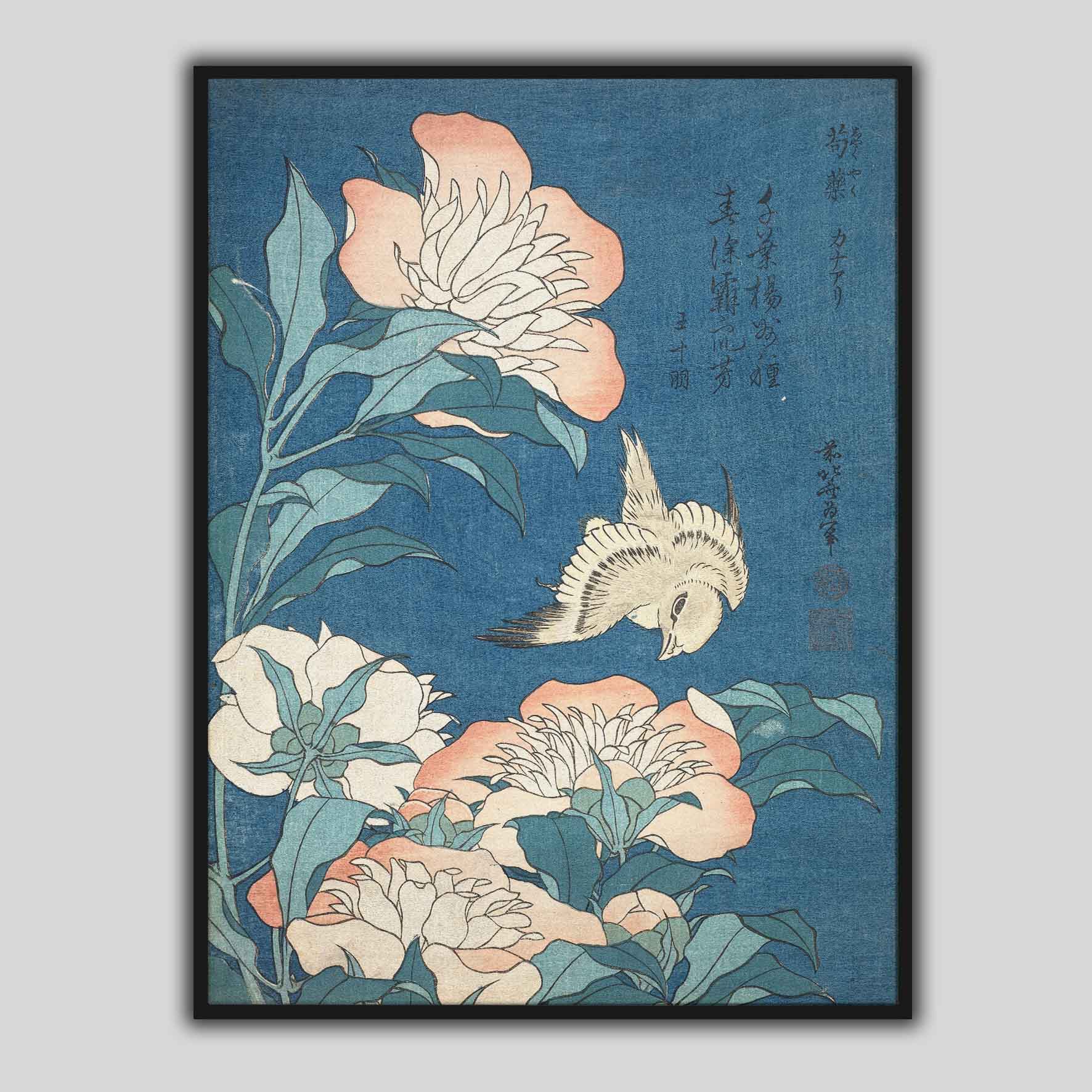 Peonie e piccoli fiori delle Canarie