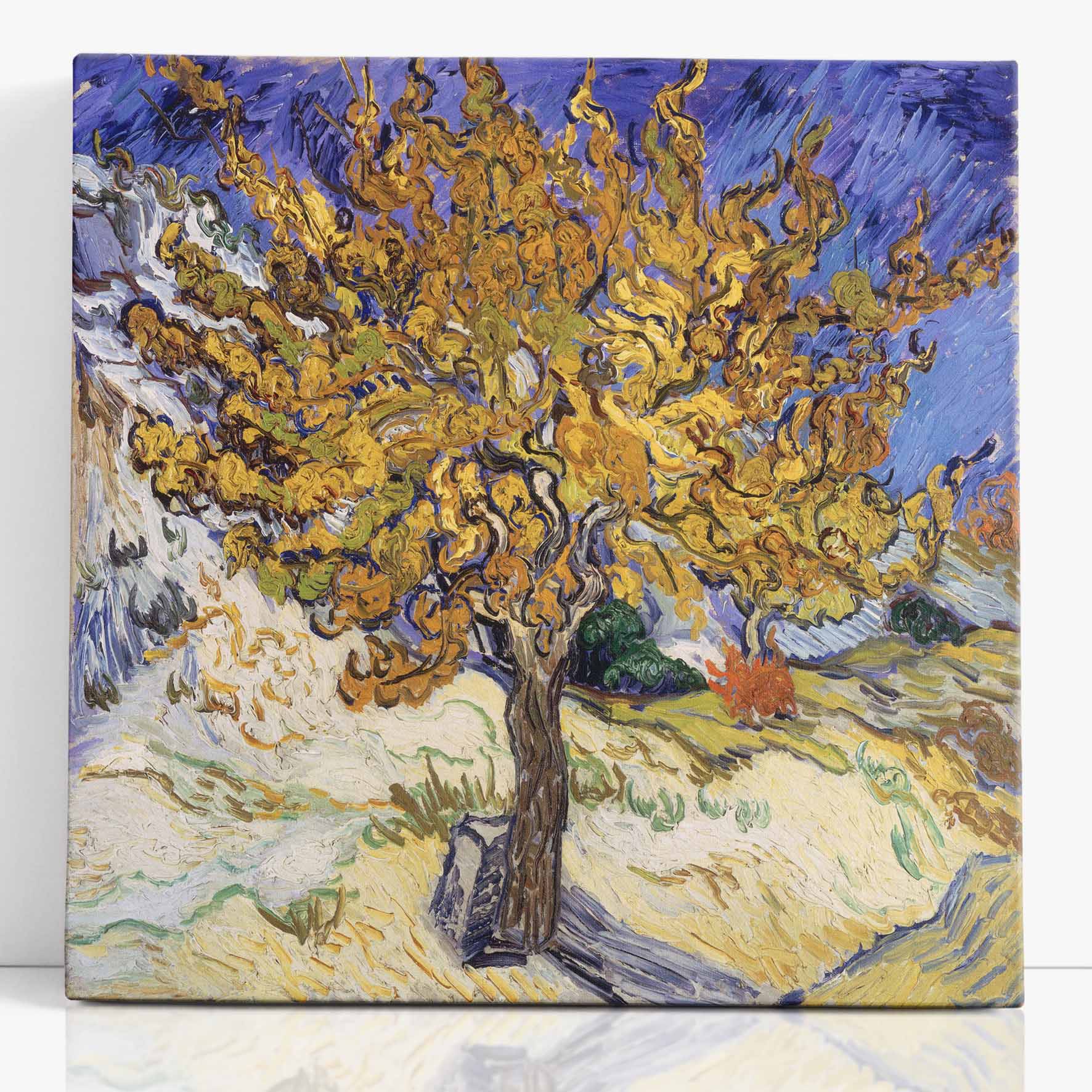 Gelso, van gogh